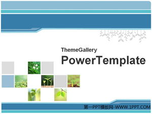 48 plant PPT templates package download