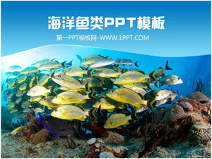 Beau modèle PPT de poissons d'école de poissons du monde sous-marin