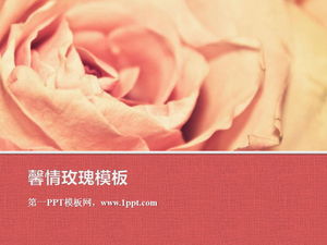 具有粉红色浪漫玫瑰花背景的植物幻灯片模板