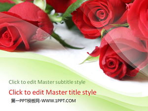 Unduh template slideshow cinta dengan latar belakang mawar cerah