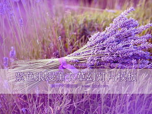 紫色のロマンチックなラベンダーの背景植物のスライドショーテンプレートのダウンロード