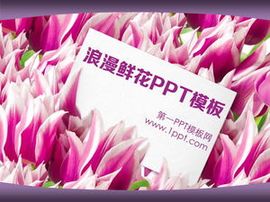 Modello di PowerPoint romantico sfondo tulipano amore