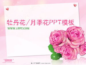Modèle PowerPoint de fond de fleur de pivoine rose élégante Télécharger