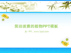 Download del modello PPT della pianta di sfondo del crisantemo elegante