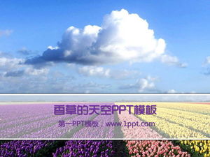 Tulips under the Sky PowerPoint Template Download
