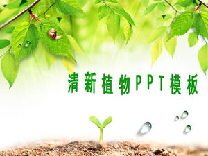 Download del modello PPT di sfondo di foglie fresche