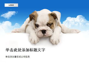Cute dog background animal PPT template download