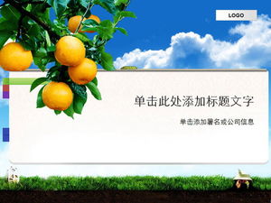 Orange background plant fruit theme PPT template download
