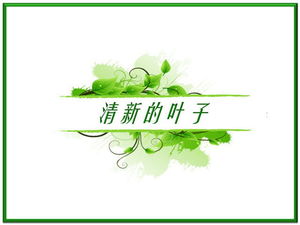 Download del modello PPT di sfondo verde foglie fresche