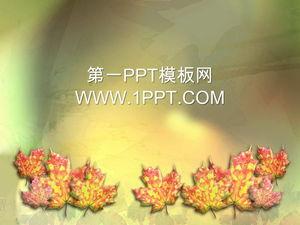 Autumn maple leaves background PPT template download