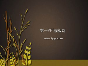 Reis- und Weizen-Hintergrundpflanzen-Diashow-Vorlage herunterladen