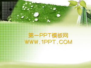 Green leaves background plant PPT template download