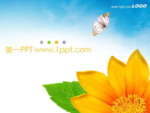 Изысканные цветы бабочки фон скачать шаблон PPT