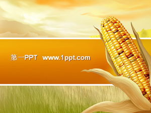 收穫喜悅玉米背景PPT模板