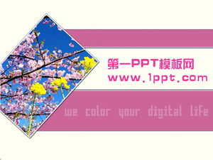 Unduhan template PPT latar belakang persik merah muda