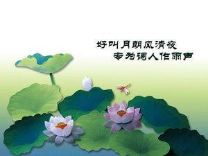 Exquisite und elegante PPT-Vorlage für Lotus-Hintergrundpflanzen