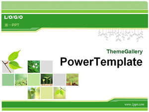 古典的な緑の植物の背景PPTテンプレートのダウンロード