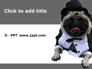 Download del modello PPT di arte del cucciolo carino