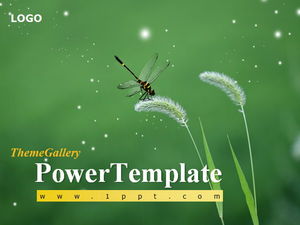 Green foxtail grass PPT template download