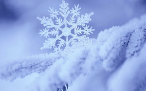 Imagen de fondo PPT de primer plano de copo de nieve azul