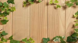 綠色天然木板藤蔓PPT背景圖片