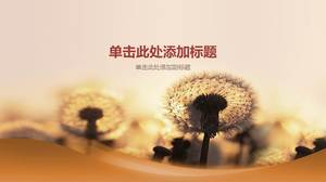 Yellow flying dandelion PPT background picture