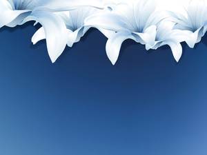 青のエレガントなユリの花PPT背景画像