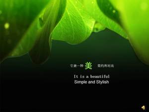 Beautiful green nature PPT background picture
