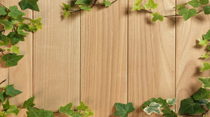 Tablero de madera natural vid PPT imagen de fondo