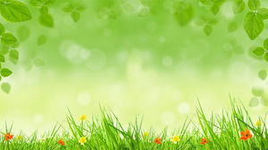Зеленая трава фоновое изображение РРТ