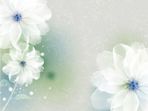 زهور أنيقة وناعمة صورة خلفية PPT