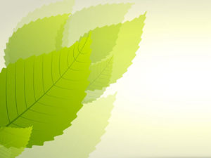 Fresh green leaves PPT background picture