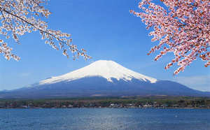 Mount Fuji Sakura Slideshow Background Image