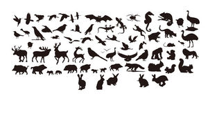Materiale per immagini di piccole dimensioni per la presentazione di silhouette di animali