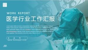 Multiple sets of cover catalog page layout scheme medical industry summary report analysis ppt template