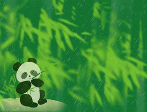 Panda jedząca pędy bambusa po deszczu - gigantyczna panda szablon ppt