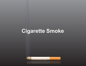 Smoking cessation public welfare ppt template