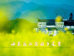 Bunga pemerkosaan template ppt pemandangan kota air Jiangnan
