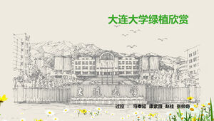 Dalian Üniversitesi yeşil bitki tanıtımı ve güzellik takdiri ppt şablonu