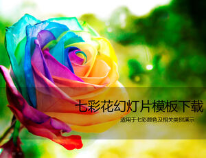 Colorful rose beautiful ppt template