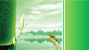새와 대나무 밝은 녹색 상쾌한 PPT 와이드 스크린 템플릿