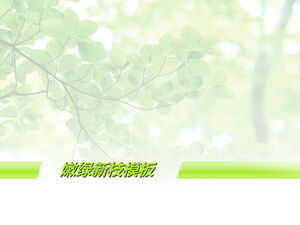 淺綠色新枝優雅綠色PPT背景模板