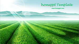 Tea garden green manor ppt template