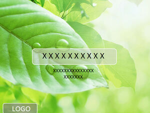 Зеленый лист капли росы фон освежающий естественный шаблон п.п.