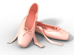 pink shoes ppt template