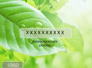 HD przetargu liście zielony orzeźwiający naturalny szablon ppt
