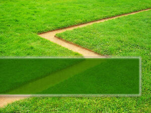 綠草與道路PPT自然模板