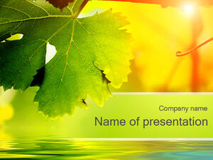Grapevine leaves PPT green nature template