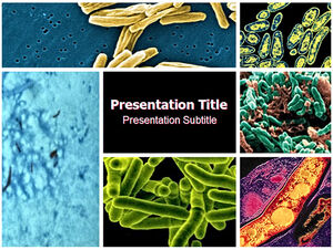 Tuberculosis bacteria - medical industry ppt template