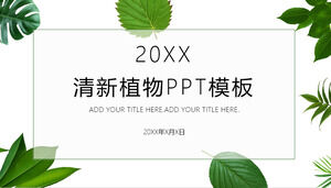 Fresh green leaves and green plants PPT template